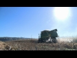 Maize Harvest Rear 3 1562